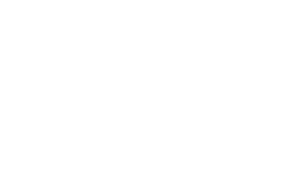 logo en blanc