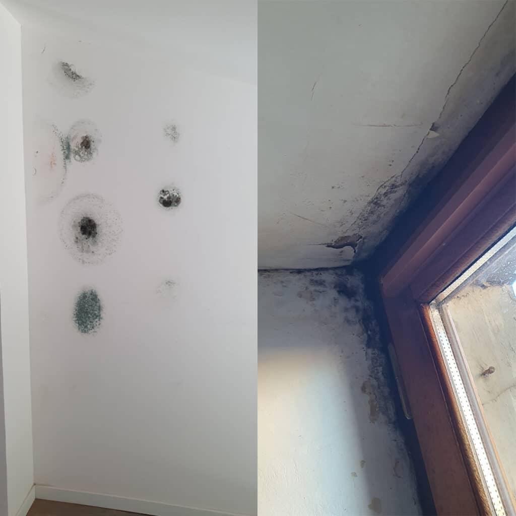 Photo de moisissure avant Travaux de Petite Rénovation dans un Immeuble